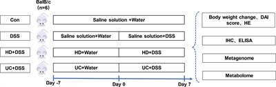 Human Fecal Microbiota Transplantation Reduces the Susceptibility to Dextran Sulfate Sodium-Induced Germ-Free Mouse Colitis